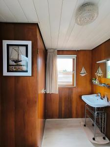 SuameerWoonboot in Sumar gelegen tussen Leeuwarden en Drachten的一间带水槽和窗户的浴室