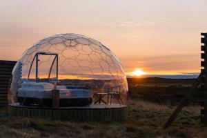 海拉Aurora Igloo的圆顶帐篷,位于一个有日落背景的田野
