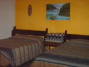 康塞普西翁德阿塔科圣多明各别墅酒店的客房设有两张床,墙上设有瀑布。