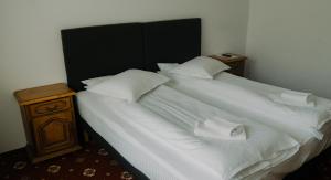 Hotel Casa Pelerinul客房内的一张或多张床位