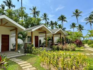 爱妮岛Nacpan Beach Villas的棕榈树掩映的海滩上的房子