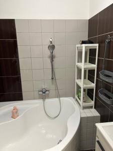 布热茨拉夫Fintajslova的带浴缸和淋浴的浴室