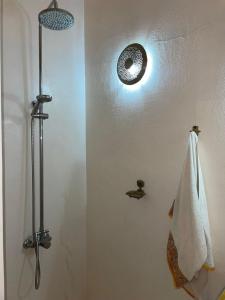 阿加迪尔Paradise Guest House的一间带淋浴的浴室,墙上有一条毛巾