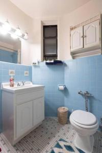 纽约Warm 1-Bedroom Apt in Manhattan的蓝色的浴室设有卫生间和水槽