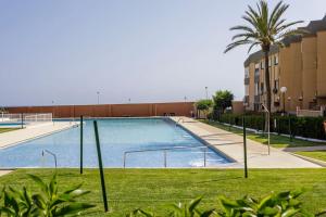 雷塔马尔Apto. primera línea playa, Retamar, Cabo de Gata (1º)的一座大游泳池,位于一座有草地的建筑中