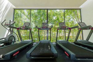图卢姆Blue Horizon @ TAO Edena 44的窗户前有一排跑步机的健身房