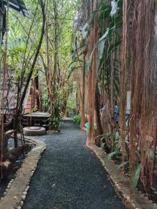 邦隆Ratanakiri Homestay & Jungle Trek的穿过森林的小路,在建筑物旁边