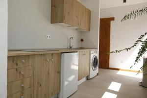 拉哈雷斯Casa Anahita的厨房配有水槽和洗衣机