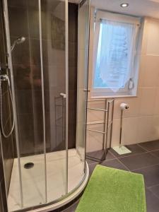 阿巴斯塔特Schöni´s Zimmer的一间带淋浴的浴室,铺有绿色地毯