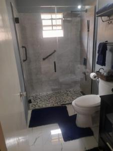 法尔茅斯Williams Oasis的带淋浴和卫生间的浴室