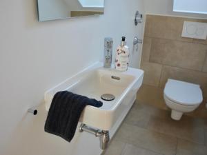 瓦瑟堡Ferienwohnung 180 Grad的浴室配有白色水槽和卫生间。