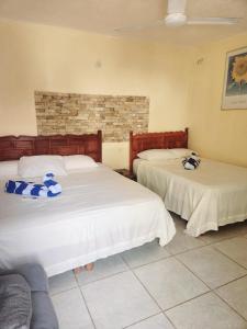 CoyucaPosada Las Palmas的一间卧室配有两张带蓝白色枕头的床