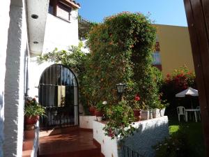 阿雷基帕Hotel La Casa de Tin tin的一座种植盆栽植物的建筑的入口和大门