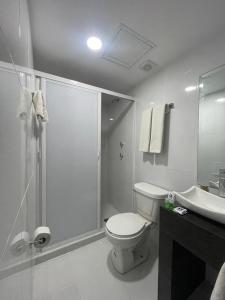 韦拉克鲁斯Hotel GALENO的浴室配有卫生间、淋浴和盥洗盆。