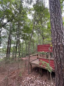 Lake Murray ShoresThe Happy Place In The Trees的坐在树旁的树林里的长凳