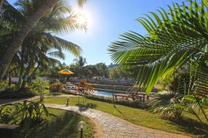 Ambondrona依兰酒店的棕榈树公园和游泳池