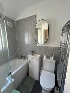 伊普斯威奇Entire 3 Bed House in Ipswich的一间带卫生间、水槽和镜子的浴室