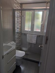 拉雷多Apartamento Albejo的浴室配有卫生间、淋浴和盥洗盆。