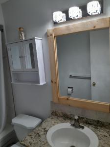 米西索加Cozy Place-Laid Back的一间带水槽、卫生间和镜子的浴室