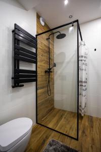 热舒夫VIP Apartamenty Lubelska II的浴室设有玻璃淋浴间和卫生间