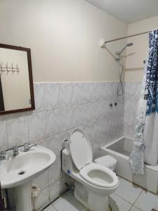 安东尼奥港Alma Patagona Hostel的一间带卫生间和水槽的浴室
