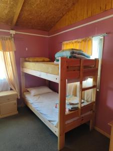 安东尼奥港Alma Patagona Hostel的粉红色墙壁的客房内设有两张双层床。
