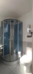 塔拉尔Chambre chez l'habitant "Entre Airs et Montagnes"的一间带玻璃淋浴和卫生间的浴室