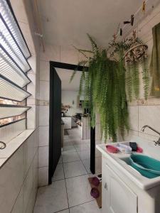 圣玛丽亚Quarto em casa a 1.4km da UFSM的一间带水槽和植物的浴室