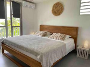 Saint MartinOrient Bay villa的一间卧室配有一张大床和两个枕头