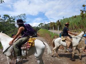 PejibayeCabañas Don Tito的两个人在土路上骑马