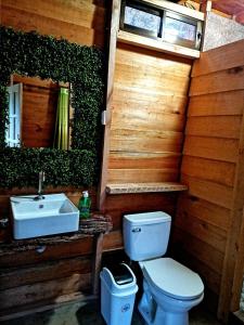 PejibayeCabañas Don Tito的一间带卫生间和水槽的浴室