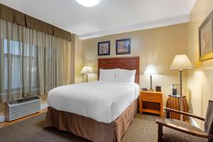 纽约贝斯特韦斯特款待套房酒店的配有一张床和一把椅子的酒店客房