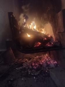 迈普Maipú soñado的砖炉里的火,里面放着食物