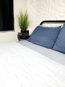 阿瓜达La Familia #的白色的床,配有蓝色枕头和植物