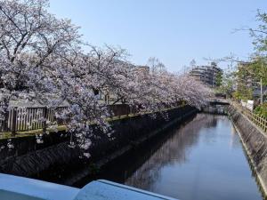 大川Okawaya - Vacation STAY 49372v的一条有鲜花的河流,一条桥