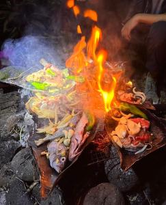 维拉港Kerith Lodge的火烧烤架上的一大堆食物