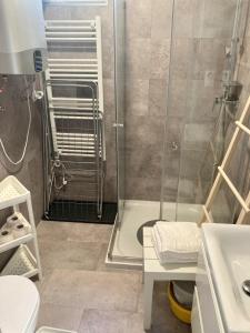 霍德梅泽瓦沙海伊Hód-Thermal Camping的带淋浴、卫生间和盥洗盆的浴室