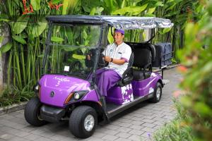塞米亚克阿玛迪假日别墅酒店的坐在高尔夫球车里的男人