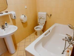 维特兹Motel Dačo的浴室配有卫生间、盥洗盆和浴缸。
