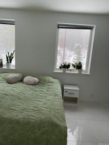 布罗斯Natursköna的一间卧室配有带2个枕头的床和2个窗户。
