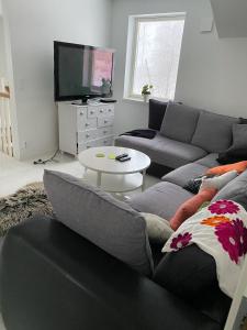 布罗斯Natursköna的带沙发和电视的客厅