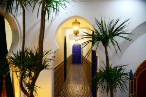 重庆重庆天方夜谭民宿的一条种植了棕榈树的走廊和一扇蓝色的门