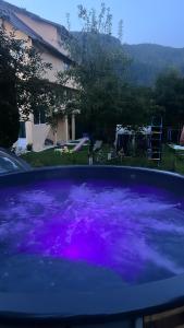 莫伊西德约斯Pensiunea Mary的院子里装满紫色水的热水浴池
