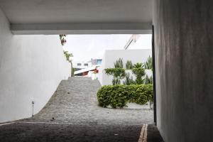 蓬塔德尔加达São Miguel Charming House by LFC Apts的通往白色建筑的楼梯