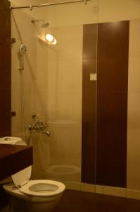 PadmiVan Durga Villas & Suites的一间带卫生间和玻璃淋浴间的浴室