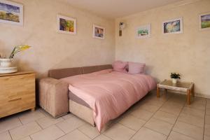 希尔蒂盖姆Casa Aquarella - Proche Strasbourg的一间卧室配有一张带粉色毯子的床
