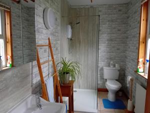 克里敦BARHOLM CROFT Holiday Cottage的带淋浴、卫生间和盥洗盆的浴室
