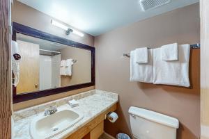 大白山Whitefoot Lodge 342/344的一间带水槽、卫生间和镜子的浴室