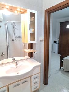 锡库利亚纳La Foggia seaside paradise的一间带水槽和淋浴的浴室