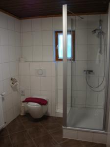 上施陶芬Weixler Schindelberg的带淋浴、卫生间和浴缸的浴室